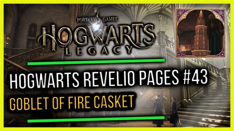 The Hogwarts Magical Casket: A Portal to the Wizarding World